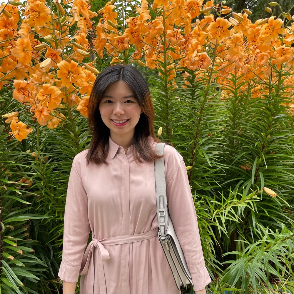 Uniqlo Pink Long Sleeve Notched Collar Shirt Dress